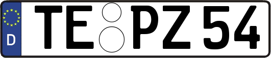 TE-PZ54