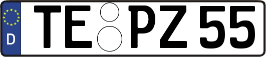 TE-PZ55