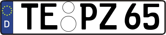 TE-PZ65