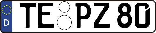 TE-PZ80