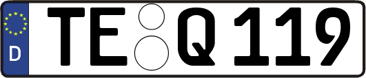 TE-Q119