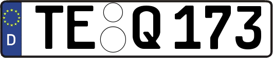 TE-Q173
