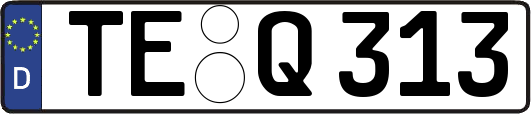 TE-Q313