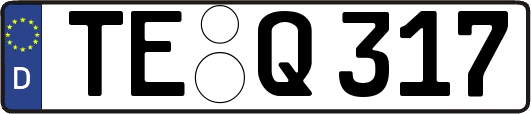TE-Q317