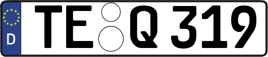 TE-Q319