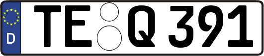 TE-Q391