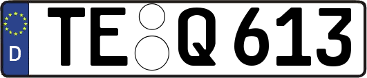 TE-Q613