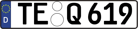TE-Q619