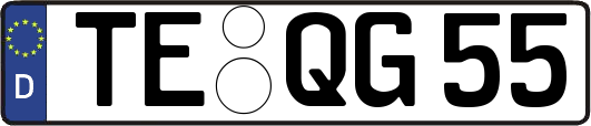 TE-QG55