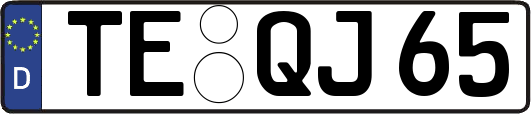 TE-QJ65