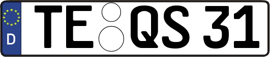 TE-QS31