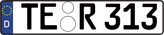 TE-R313