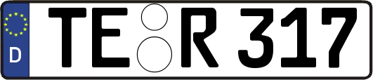 TE-R317
