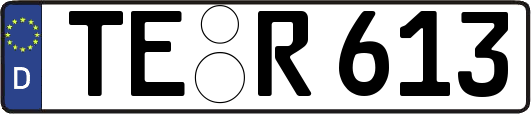 TE-R613