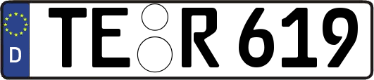 TE-R619