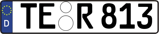 TE-R813