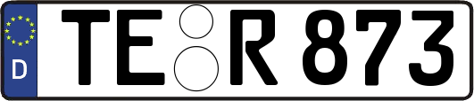 TE-R873