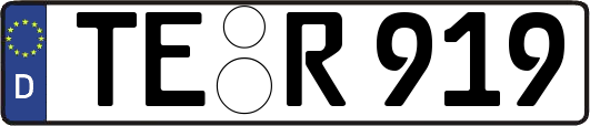 TE-R919