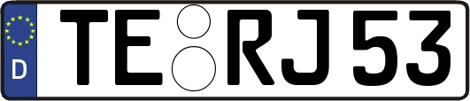TE-RJ53
