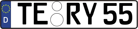TE-RY55