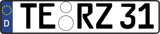TE-RZ31