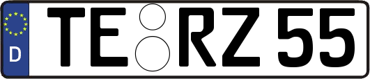 TE-RZ55