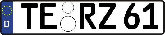 TE-RZ61