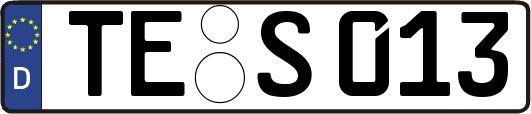 TE-S013