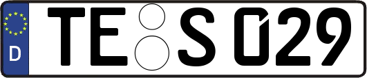 TE-S029