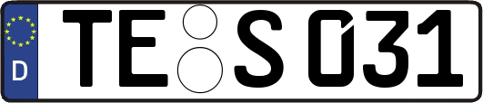 TE-S031