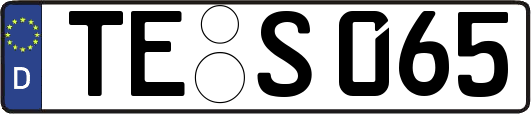 TE-S065