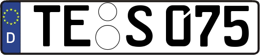 TE-S075