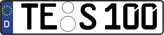 TE-S100