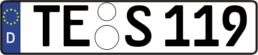 TE-S119