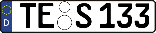TE-S133