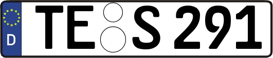TE-S291