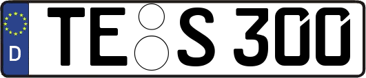 TE-S300