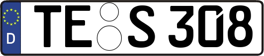 TE-S308