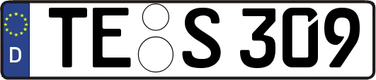 TE-S309