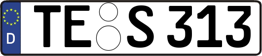 TE-S313