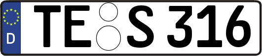 TE-S316