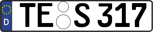 TE-S317