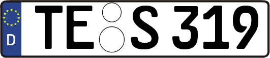 TE-S319