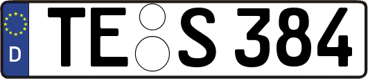 TE-S384