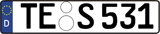 TE-S531