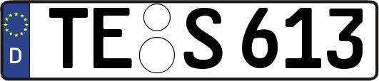 TE-S613