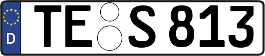 TE-S813