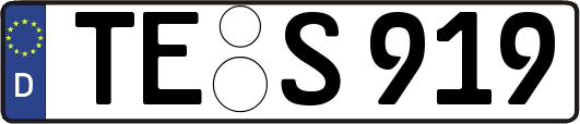 TE-S919