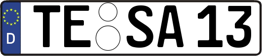 TE-SA13