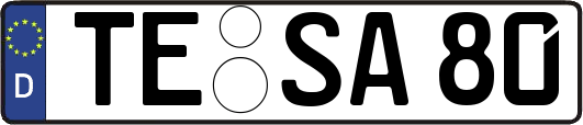 TE-SA80